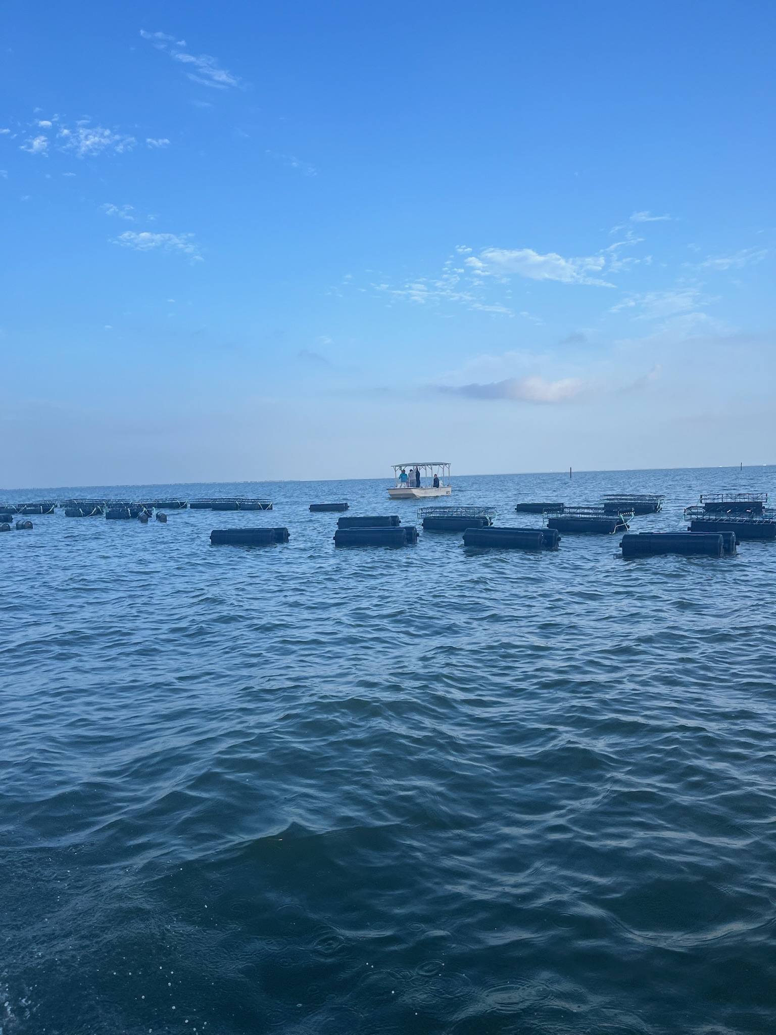 The Environmental Benefits of Oyster Farming - Texas oyster farm blog post