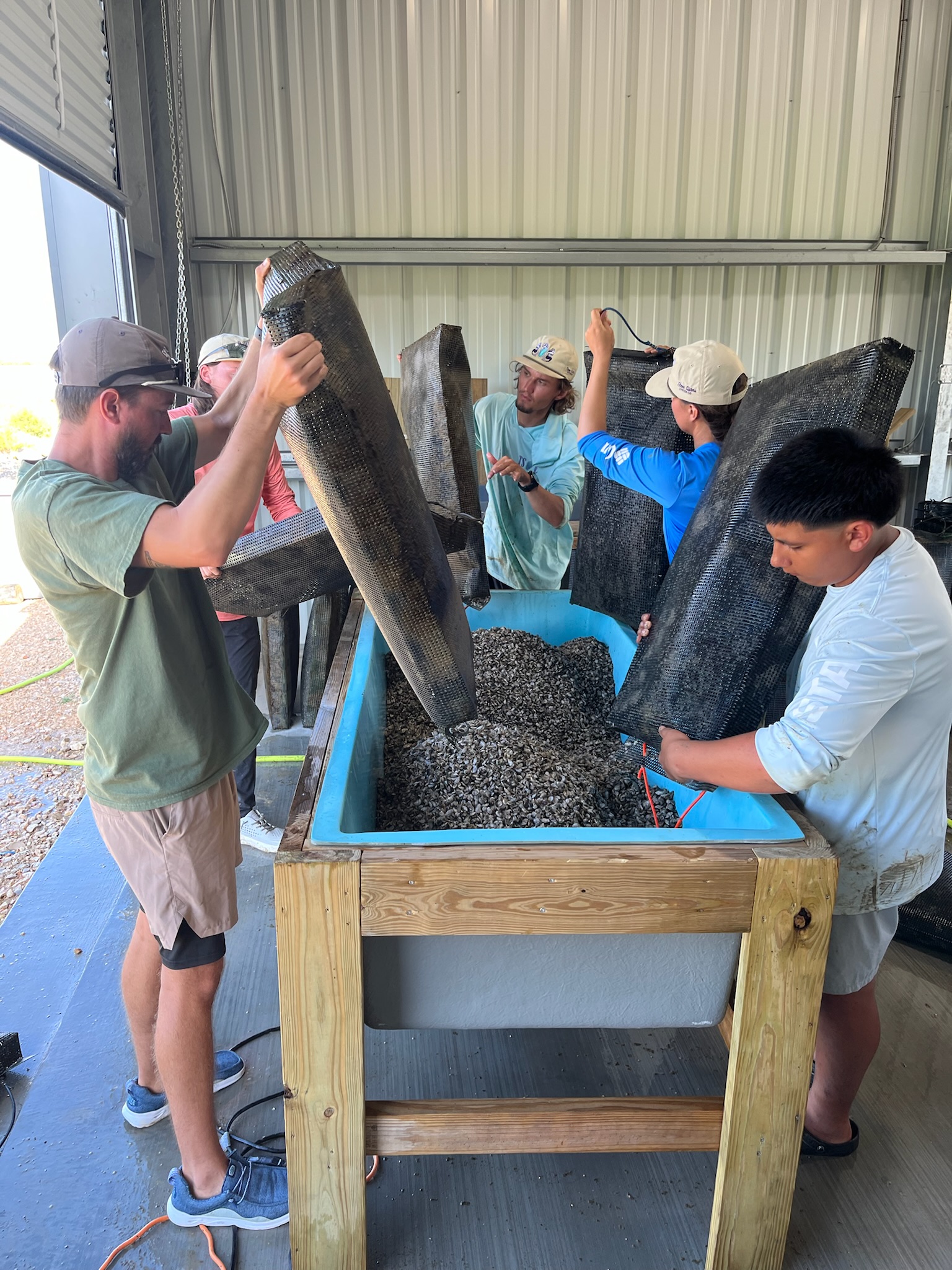 Gallery Collection 2