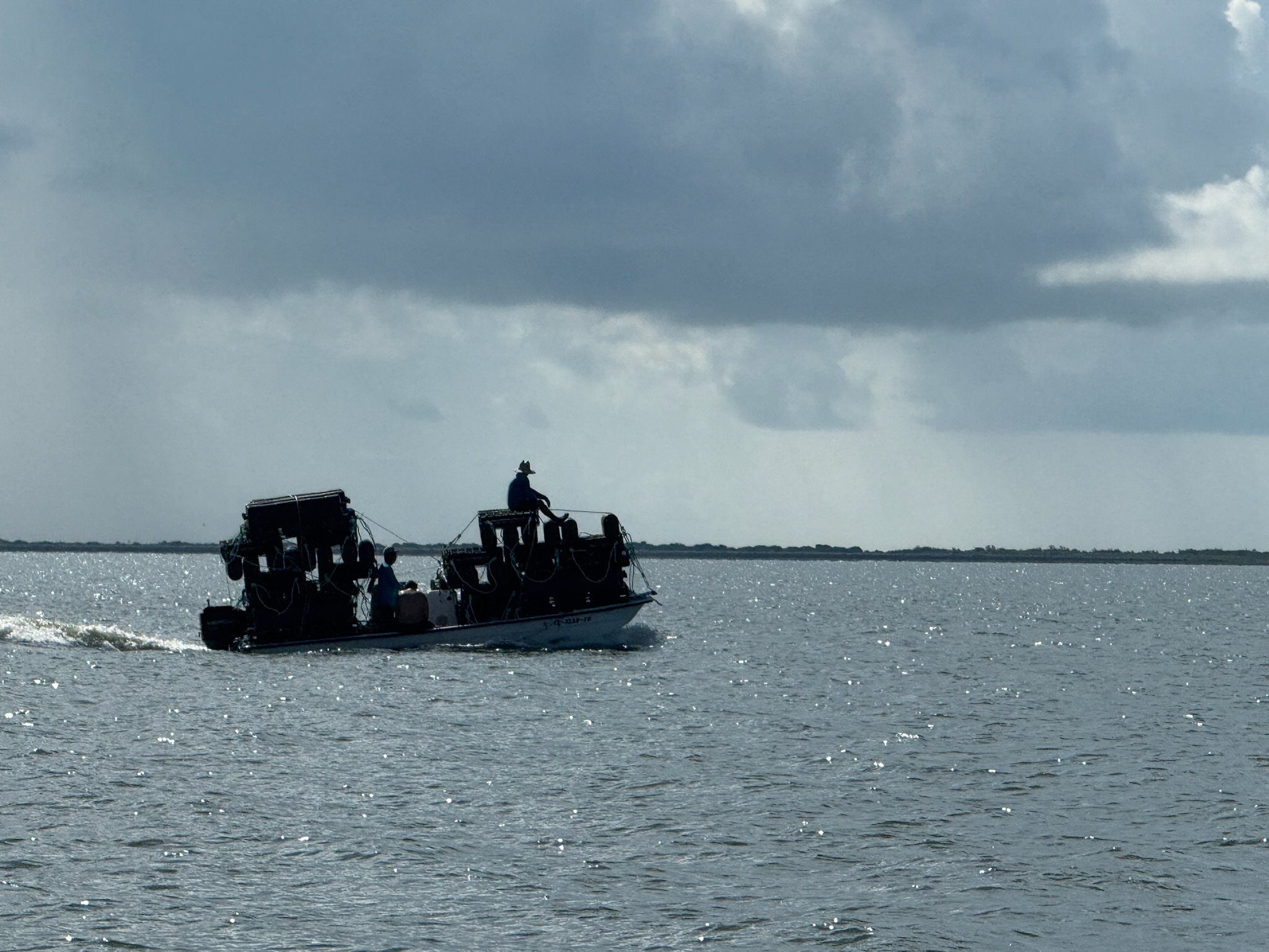 Gallery Collection 3