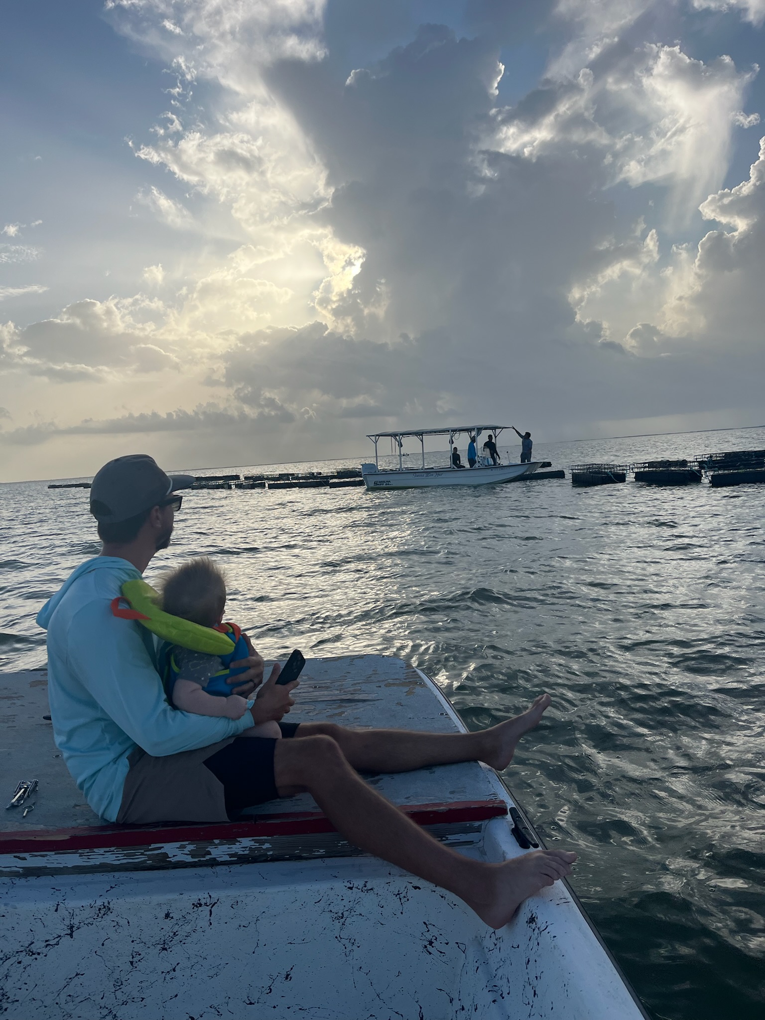 Gallery Collection 4